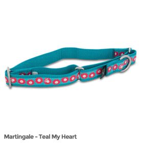 PetSafe Fido Finery Martingale Style Collar (1 Large, Teal My Heart)